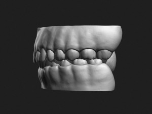 asian male head for production high poly 3D Model