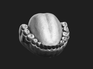 asian male head for production high poly 3D Model