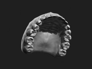 asian male head for production high poly 3D Model