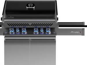 Grill napoleon pro 500 3D-Modell