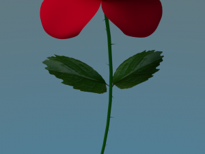 rose 3D 模型
