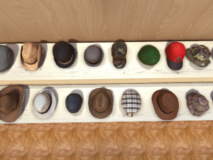 hats collection 3Dモデル