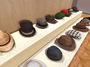 hats collection 3D Model