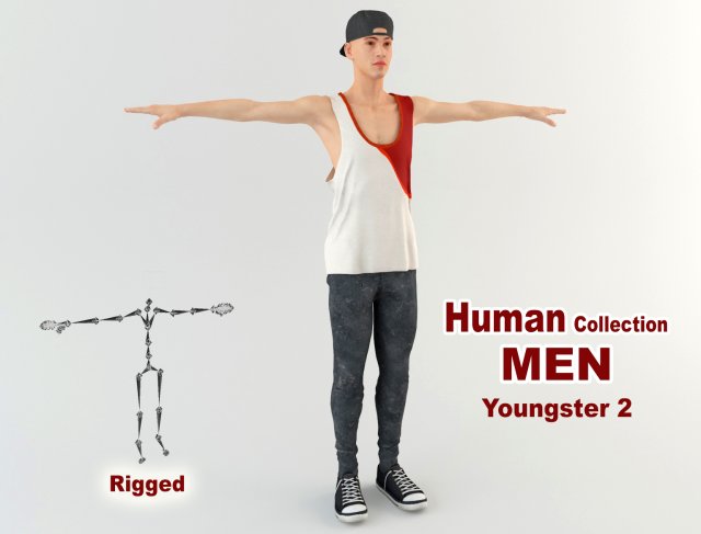 youngster 2 3D 模型 .c4d .max .obj .3ds .fbx .stl .blend 