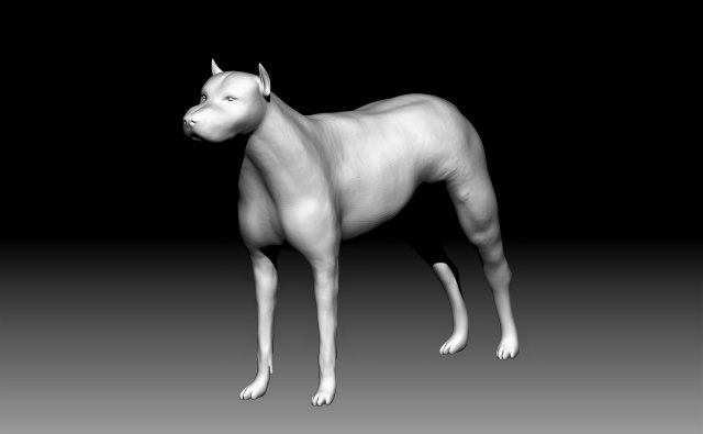 pitbull 3D Модель .c4d .max .obj .3ds .fbx .stl .blend 