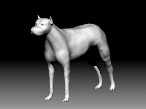 pitbull 3D Model