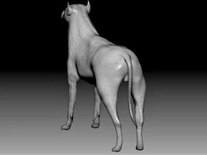 pitbull 3D Model