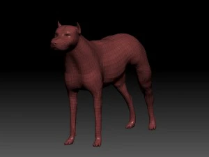 pitbull 3D Model