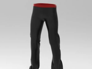 штани 3D Модель