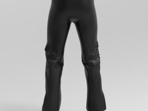 pants Modèle 3D