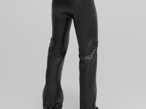pants Modèle 3D