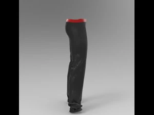 штани 3D Модель