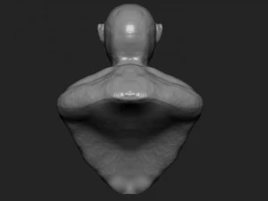 kodar 3D Model