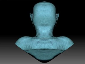 julius caesar 3D Model