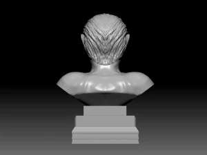 julius print ready 3D Print Model