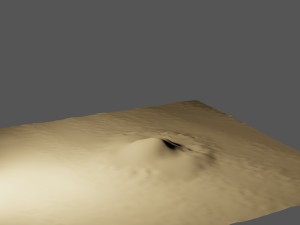 plam tree Modelo 3D