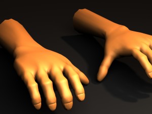 human hand Model 3D