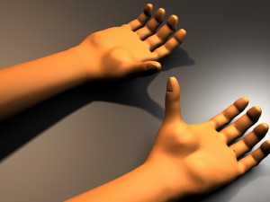 human hand Model 3D