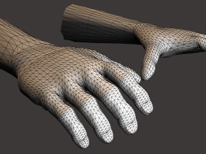 human hand Model 3D