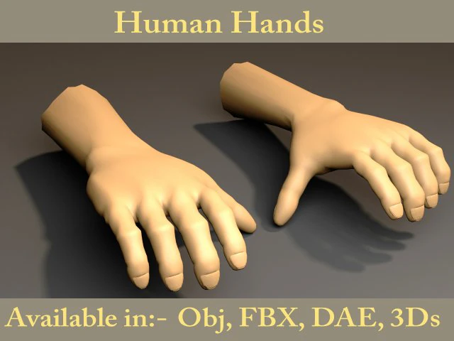 human hand 3D Model .c4d .max .obj .3ds .fbx .stl .blend 