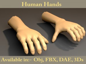human hand Model 3D
