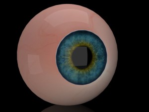 eye ball 3D Model