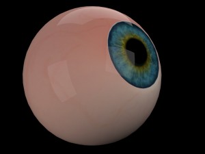 eye ball 3D Model