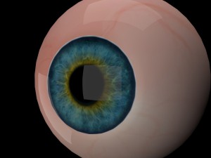 eye ball 3D Model