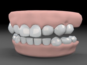 teeths 3D Model