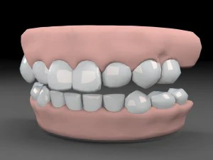teeths 3D Model