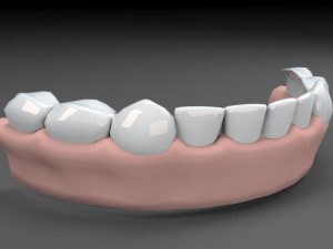 teeths 3D Model