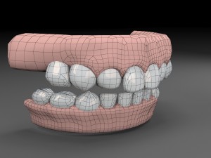 teeths 3D Model