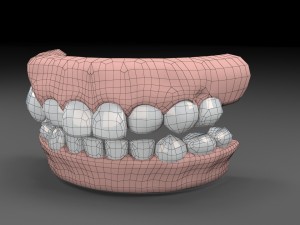 teeths 3D Model