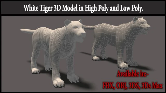 white tiger high poly and low poly 3D Model .c4d .max .obj .3ds .fbx .stl .blend 
