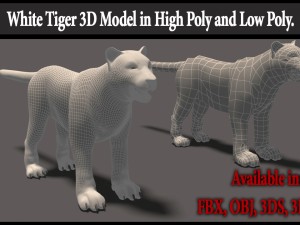 white tiger high poly and low poly 3D Model