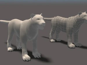 white tiger high poly and low poly 3D Model