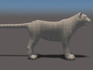 white tiger high poly and low poly 3D Model