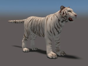 white tiger high poly and low poly 3D Model