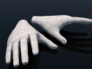 cartoon hands 3D Model