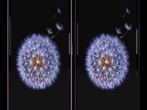 samsung galaxy s9 plus model 3D मॉडल