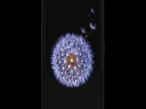 samsung galaxy s9 plus model Modelo 3D
