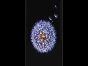 samsung galaxy s9 plus model 3D Model