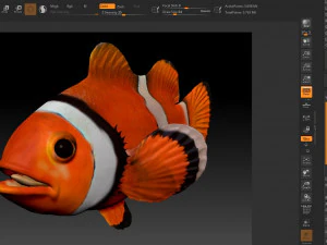 clown fish 3D Model