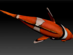 clown fish 3D Model