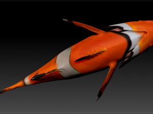 clown fish 3D-Modell