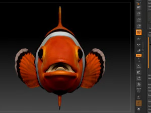 clown fish 3D Model