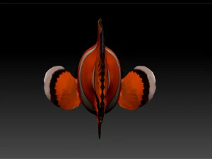clown fish 3D Model