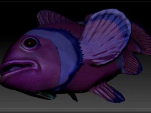 clown fish 3D Model