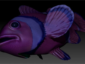 clown fish 3D-Modell