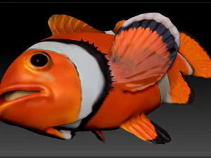 clown fish 3D Model